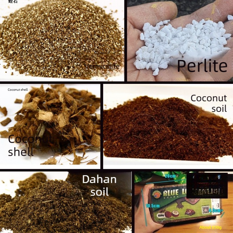 ココナッツ土レンガ 爬虫類用床材 亀・ヤモリ・ヘビ用 viv - Sphagnum Moss Dry のレビューと価格