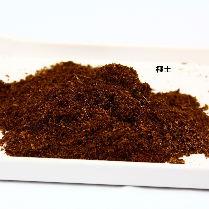 ココナッツ土レンガ 爬虫類用床材 亀・ヤモリ・ヘビ用 viv - Sphagnum Moss Dry のレビューと価格