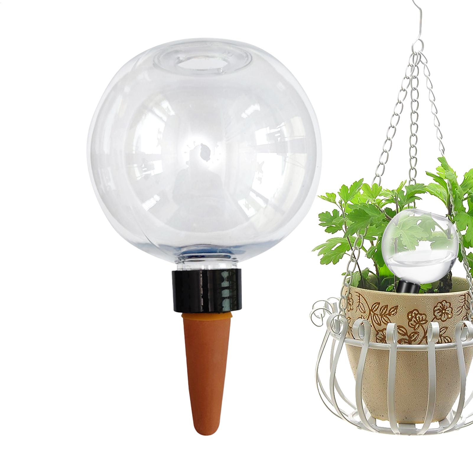 500ml自動植物散水球ガラス球プランターインサート簡単自動 - Self Watering Insert のレビューと価格